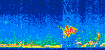 /calipso-imagery/data/BROWSE/production/V5-00/2019-09-08/2019-09-08_23-21-15_V5.00_3_thmb.png image missing