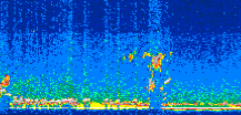 /calipso-imagery/data/BROWSE/production/V5-00/2019-09-20/2019-09-20_01-22-05_V5.00_2_thmb.png image missing