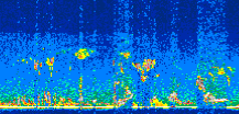 /calipso-imagery/data/BROWSE/production/V5-00/2019-09-20/2019-09-20_03-00-36_V5.00_3_thmb.png image missing