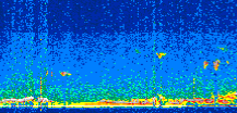 /calipso-imagery/data/BROWSE/production/V5-00/2019-09-20/2019-09-20_06-17-36_V5.00_2_thmb.png image missing