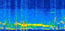 /calipso-imagery/data/BROWSE/production/V5-00/2019-09-20/2019-09-20_12-51-42_V5.00_2_thmb.png image missing