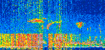 /calipso-imagery/data/BROWSE/production/V5-00/2019-09-20/2019-09-20_17-47-18_V5.00_2_thmb.png image missing