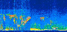 /calipso-imagery/data/BROWSE/production/V5-00/2019-09-20/2019-09-20_17-47-18_V5.00_3_thmb.png image missing