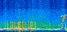 /calipso-imagery/data/BROWSE/production/V5-00/2019-09-20/2019-09-20_19-25-48_V5.00_2_thmb.png image missing