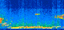 /calipso-imagery/data/BROWSE/production/V5-00/2019-09-20/2019-09-20_21-04-23_V5.00_2_thmb.png image missing