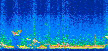 /calipso-imagery/data/BROWSE/production/V5-00/2019-09-20/2019-09-20_22-42-53_V5.00_2_thmb.png image missing