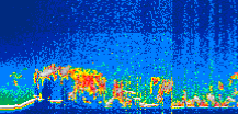 /calipso-imagery/data/BROWSE/production/V5-00/2019-09-29/2019-09-29_00-28-34_V5.00_1_thmb.png image missing