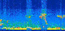 /calipso-imagery/data/BROWSE/production/V5-00/2019-09-29/2019-09-29_00-28-34_V5.00_2_thmb.png image missing