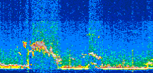 /calipso-imagery/data/BROWSE/production/V5-00/2019-09-29/2019-09-29_10-19-45_V5.00_2_thmb.png image missing