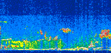 /calipso-imagery/data/BROWSE/production/V5-00/2019-09-29/2019-09-29_13-36-46_V5.00_3_thmb.png image missing