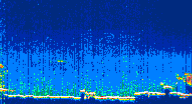 /calipso-imagery/data/BROWSE/production/V5-00/2019-09-29/2019-09-29_20-10-52_V5.00_4_thmb.png image missing