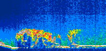 /calipso-imagery/data/BROWSE/production/V5-00/2019-09-29/2019-09-29_21-49-22_V5.00_1_thmb.png image missing