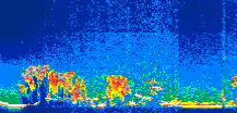 /calipso-imagery/data/BROWSE/production/V5-00/2019-09-29/2019-09-29_23-27-57_V5.00_1_thmb.png image missing