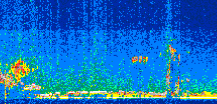 /calipso-imagery/data/BROWSE/production/V5-00/2019-10-12/2019-10-12_00-27-51_V5.00_2_thmb.png image missing