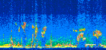 /calipso-imagery/data/BROWSE/production/V5-00/2019-10-12/2019-10-12_00-27-51_V5.00_3_thmb.png image missing