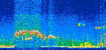 /calipso-imagery/data/BROWSE/production/V5-00/2019-10-12/2019-10-12_05-23-26_V5.00_2_thmb.png image missing