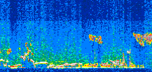 /calipso-imagery/data/BROWSE/production/V5-00/2019-10-12/2019-10-12_08-40-32_V5.00_2_thmb.png image missing