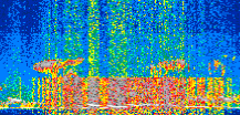 /calipso-imagery/data/BROWSE/production/V5-00/2019-10-12/2019-10-12_16-53-08_V5.00_2_thmb.png image missing