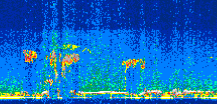 /calipso-imagery/data/BROWSE/production/V5-00/2019-10-12/2019-10-12_21-48-38_V5.00_3_thmb.png image missing