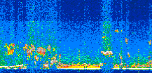 /calipso-imagery/data/BROWSE/production/V5-00/2019-10-15/2019-10-15_02-21-25_V5.00_2_thmb.png image missing
