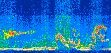 /calipso-imagery/data/BROWSE/production/V5-00/2019-10-15/2019-10-15_10-34-02_V5.00_2_thmb.png image missing