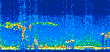 /calipso-imagery/data/BROWSE/production/V5-00/2019-10-15/2019-10-15_23-42-13_V5.00_3_thmb.png image missing