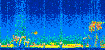 /calipso-imagery/data/BROWSE/production/V5-00/2019-10-21/2019-10-21_02-51-20_V5.00_2_thmb.png image missing