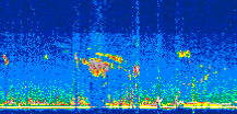 /calipso-imagery/data/BROWSE/production/V5-00/2019-10-21/2019-10-21_02-51-20_V5.00_3_thmb.png image missing
