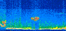 /calipso-imagery/data/BROWSE/production/V5-00/2019-10-21/2019-10-21_04-29-55_V5.00_2_thmb.png image missing