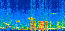/calipso-imagery/data/BROWSE/production/V5-00/2019-10-21/2019-10-21_14-21-01_V5.00_2_thmb.png image missing