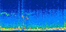 /calipso-imagery/data/BROWSE/production/V5-00/2019-11-02/2019-11-02_00-34-23_V5.00_3_thmb.png image missing