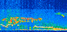 /calipso-imagery/data/BROWSE/production/V5-00/2019-11-02/2019-11-02_03-51-23_V5.00_2_thmb.png image missing