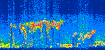 /calipso-imagery/data/BROWSE/production/V5-00/2019-11-02/2019-11-02_05-29-53_V5.00_3_thmb.png image missing