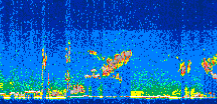 /calipso-imagery/data/BROWSE/production/V5-00/2019-11-02/2019-11-02_13-42-30_V5.00_3_thmb.png image missing