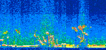 /calipso-imagery/data/BROWSE/production/V5-00/2019-11-02/2019-11-02_21-55-11_V5.00_2_thmb.png image missing