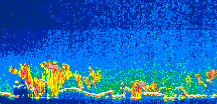 /calipso-imagery/data/BROWSE/production/V5-00/2019-11-03/2019-11-03_02-50-41_V5.00_1_thmb.png image missing