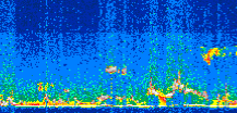 /calipso-imagery/data/BROWSE/production/V5-00/2019-11-03/2019-11-03_04-29-12_V5.00_2_thmb.png image missing