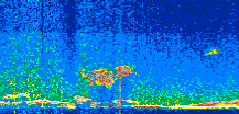 /calipso-imagery/data/BROWSE/production/V5-00/2019-11-03/2019-11-03_06-07-47_V5.00_2_thmb.png image missing