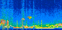 /calipso-imagery/data/BROWSE/production/V5-00/2019-11-03/2019-11-03_11-03-22_V5.00_2_thmb.png image missing