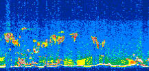/calipso-imagery/data/BROWSE/production/V5-00/2019-11-03/2019-11-03_12-41-53_V5.00_3_thmb.png image missing