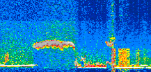 /calipso-imagery/data/BROWSE/production/V5-00/2019-11-03/2019-11-03_14-20-23_V5.00_2_thmb.png image missing