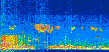 /calipso-imagery/data/BROWSE/production/V5-00/2019-11-03/2019-11-03_15-58-53_V5.00_3_thmb.png image missing