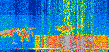 /calipso-imagery/data/BROWSE/production/V5-00/2019-11-03/2019-11-03_17-37-23_V5.00_2_thmb.png image missing