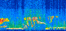 /calipso-imagery/data/BROWSE/production/V5-00/2019-11-03/2019-11-03_20-54-29_V5.00_2_thmb.png image missing
