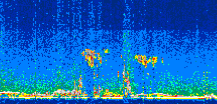/calipso-imagery/data/BROWSE/production/V5-00/2019-11-03/2019-11-03_20-54-29_V5.00_3_thmb.png image missing