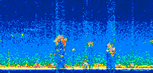 /calipso-imagery/data/BROWSE/production/V5-00/2019-11-05/2019-11-05_00-49-22_V5.00_3_thmb.png image missing