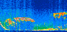 /calipso-imagery/data/BROWSE/production/V5-00/2019-11-05/2019-11-05_02-27-53_V5.00_2_thmb.png image missing