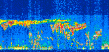 /calipso-imagery/data/BROWSE/production/V5-00/2019-11-05/2019-11-05_02-27-53_V5.00_3_thmb.png image missing