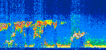 /calipso-imagery/data/BROWSE/production/V5-00/2019-11-05/2019-11-05_04-06-23_V5.00_3_thmb.png image missing