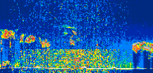 /calipso-imagery/data/BROWSE/production/V5-00/2019-11-05/2019-11-05_04-58-58_V5.00_3_thmb.png image missing